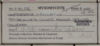 Image Associated With the Occurence